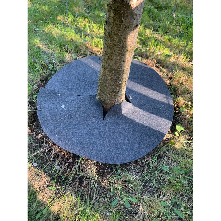 Zestaw krążków antychwastowych Bertoni, 3 sztuki, 50 cm, szare