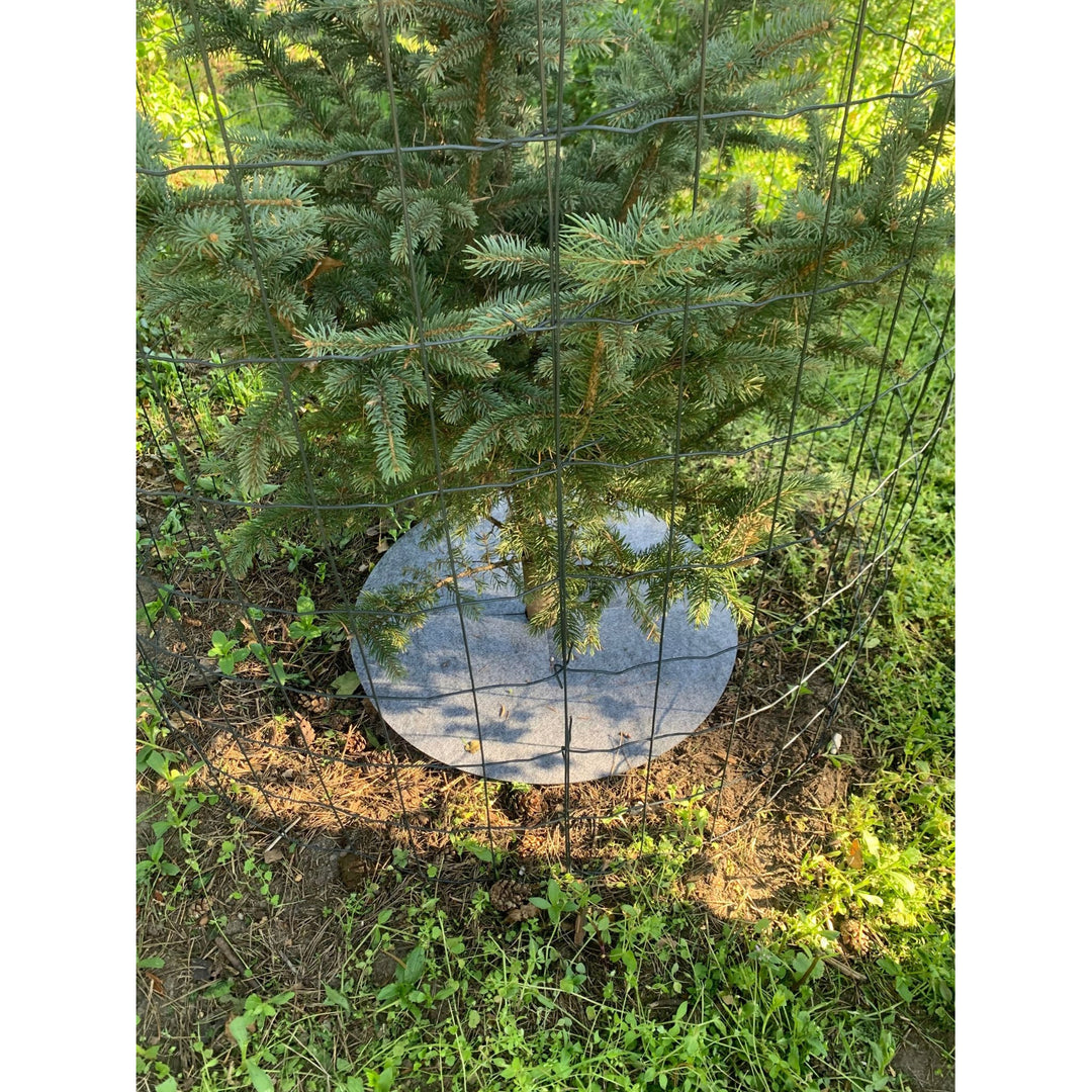 Zestaw krążków antychwastowych Bertoni, 6 sztuk, 50 cm, szare