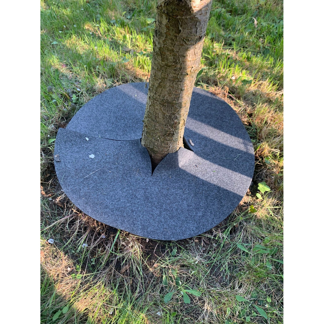 Zestaw krążków antychwastowych Bertoni, 6 sztuk, 50 cm, szare