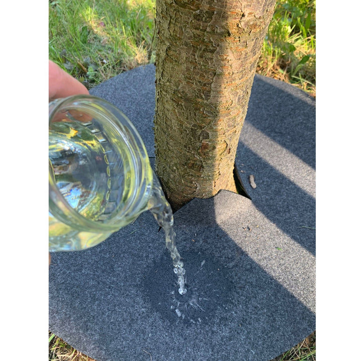 Zestaw krążków antychwastowych Bertoni, 6 sztuk, 60 cm, szare