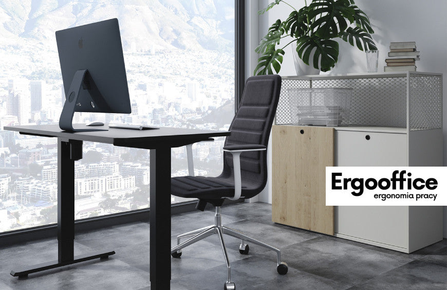 Ergonomia Pracy