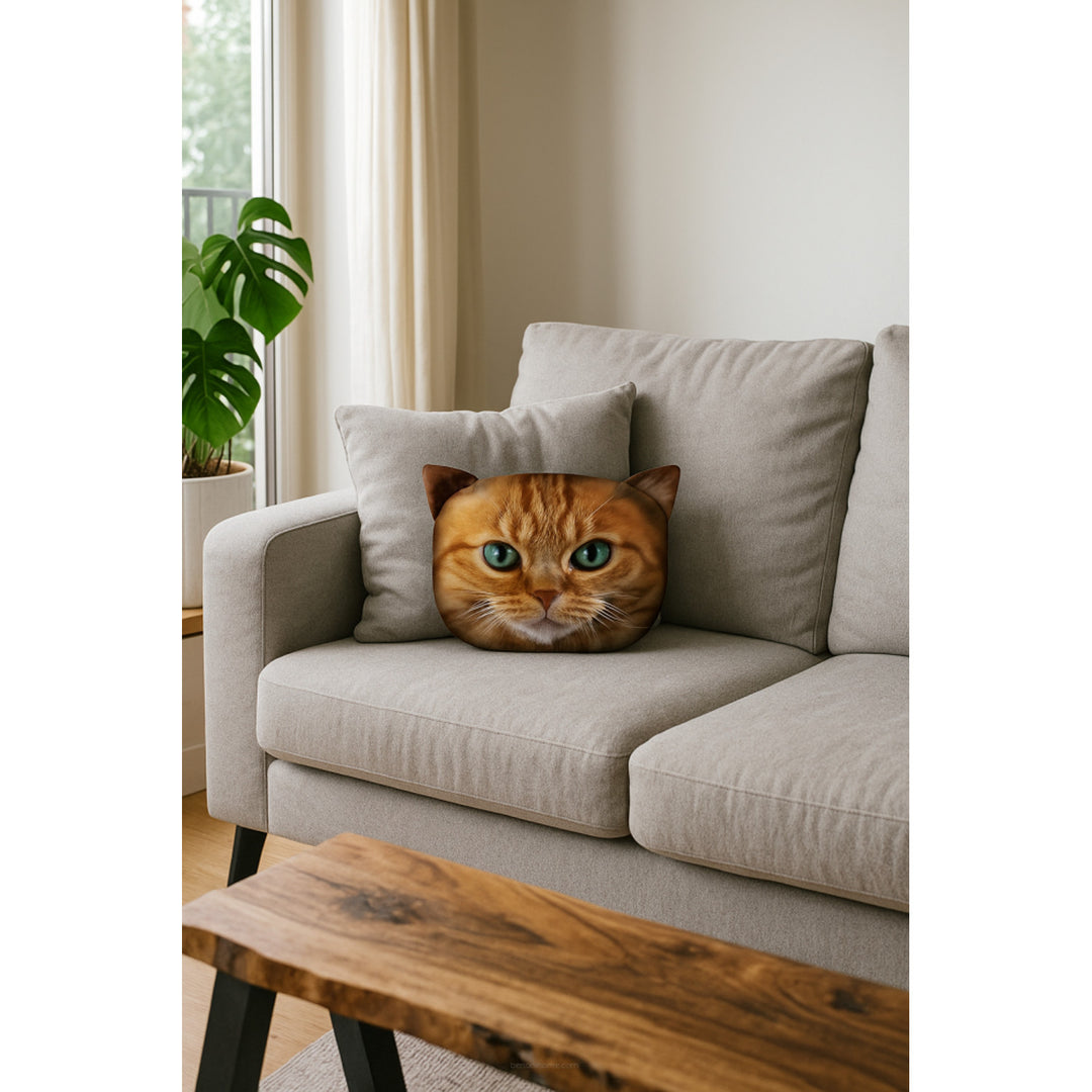 Poduszka dekoracyjna Bertoni Kot Benek 30x45 cm, welur, nadruk kota, wkład antyalergiczny
