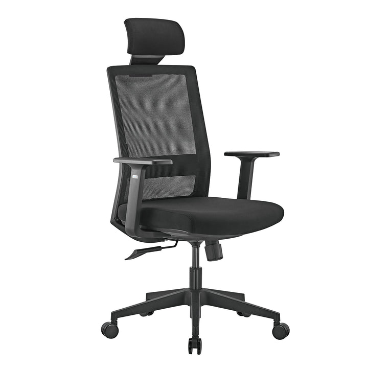 Fotel biurowy ergonomiczny premium z wysokim oparciem Ergo Office, max 150kg, ER-425