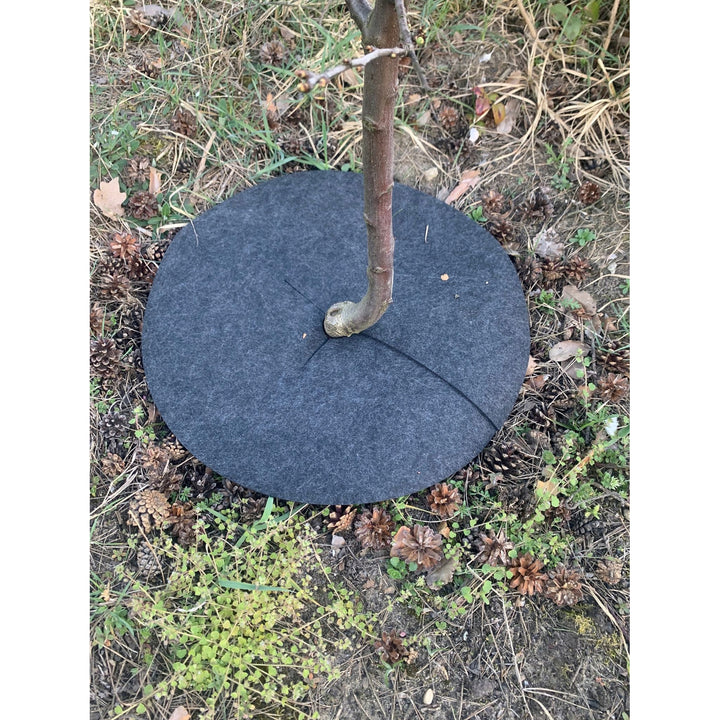 Zestaw krążków antychwastowych Bertoni, 3 sztuki, 50 cm, szare