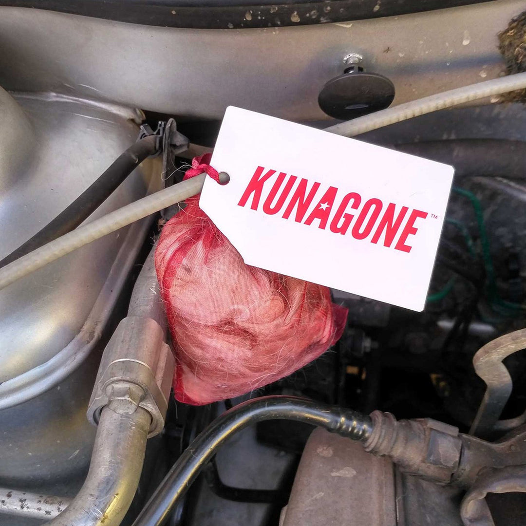 Odstraszacz na kuny Kunagone, naturalny, do auta, domu, na poddasze, 1 sztuka