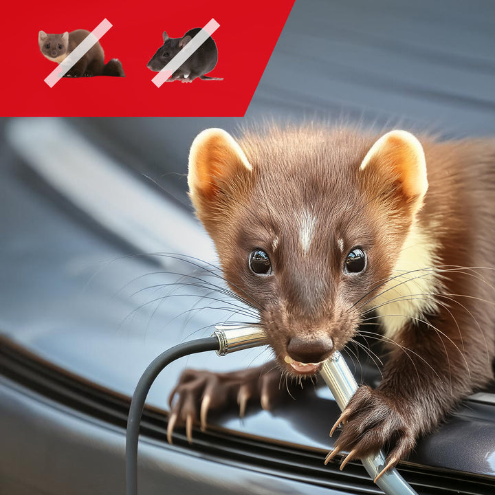 Odstraszacz gryzoni i kun GreenBlue GB725 z ultradźwiękami i diodami LED + 4x bateria AA Varta Industrial