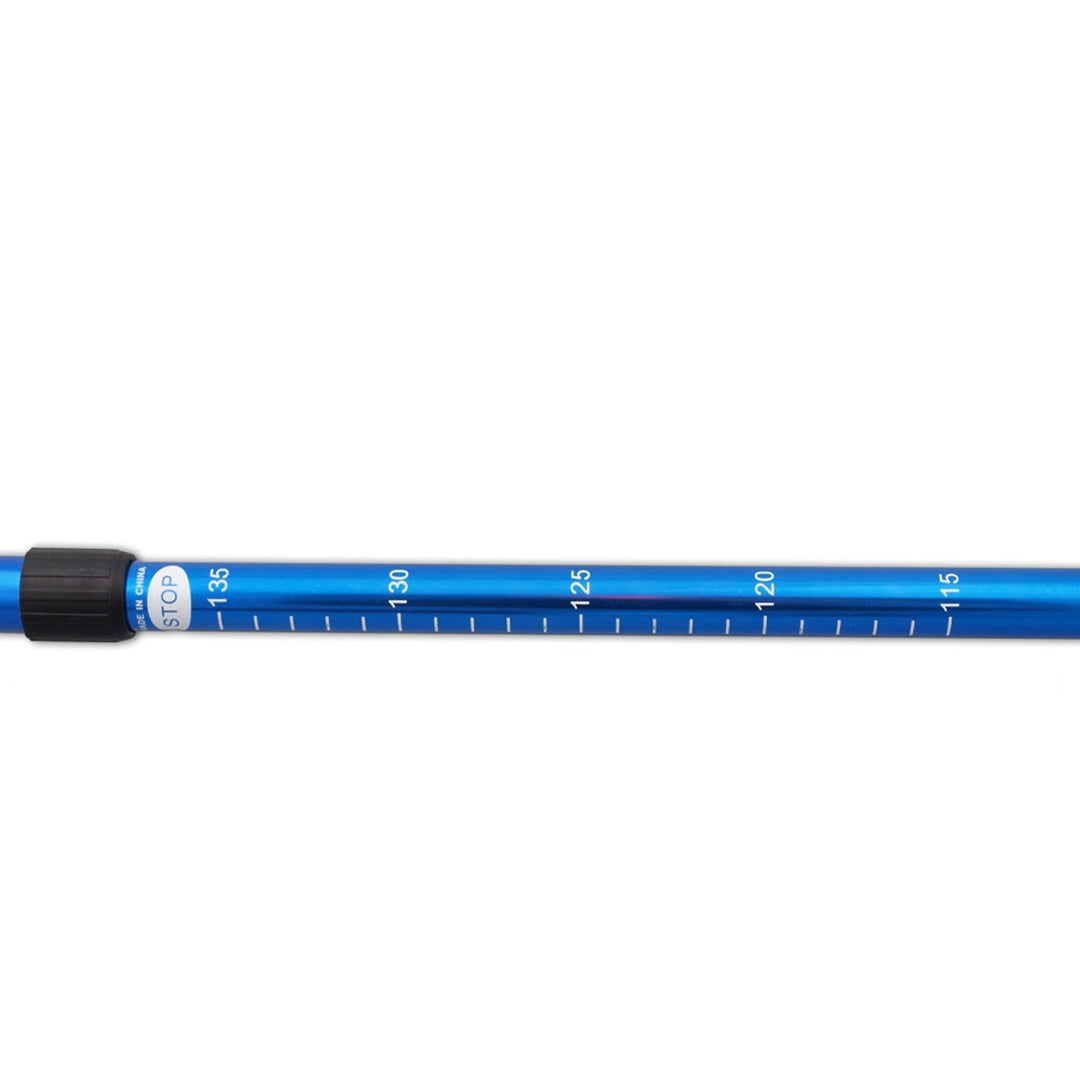 Kije aluminiowe Nordic Walking 65-135cm teleskopowe niebieskie, 2 pary