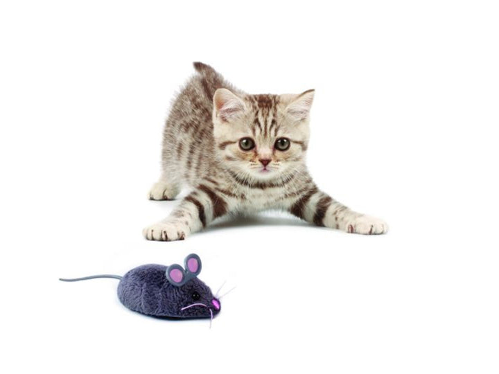 Zabawka dla kota Hexbug Cat Toy mix ruchoma myszka