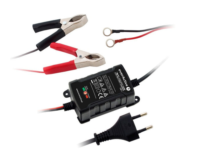 Ładowarka procesorowa prostownik 6V/12V everActive CBC-1