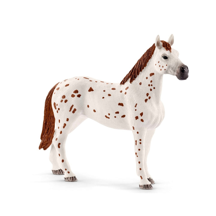 Zestaw treningowy koni Appaloosa Schleich Horse Club 42433