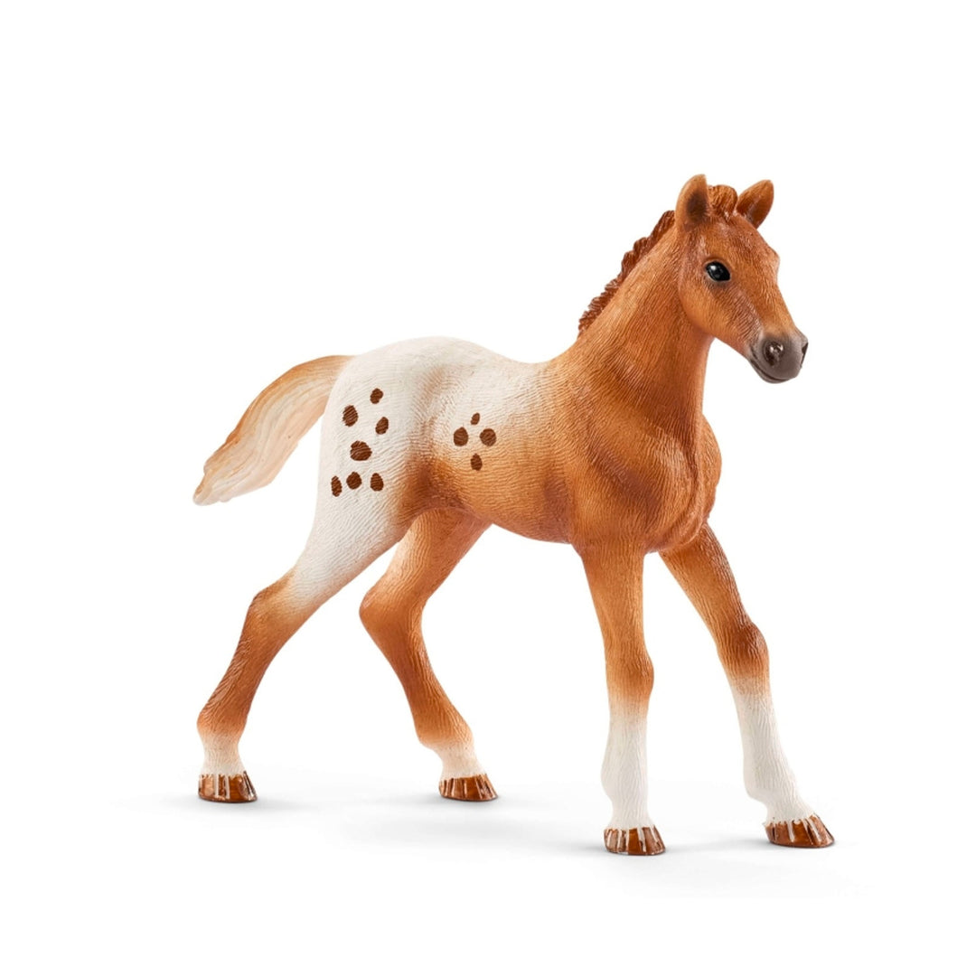 Zestaw treningowy koni Appaloosa Schleich Horse Club 42433