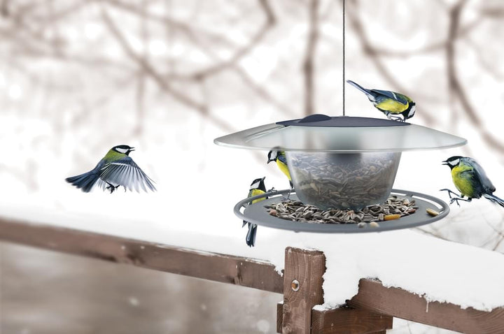 Karmnik dla ptaków Birdyfeed Round szary, okrągły daszek