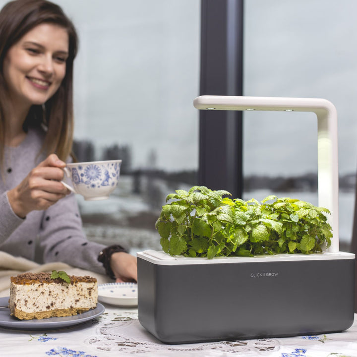 Ogród domowy Click & Grow Smart Garden 3 szary + kapsułki bazylii