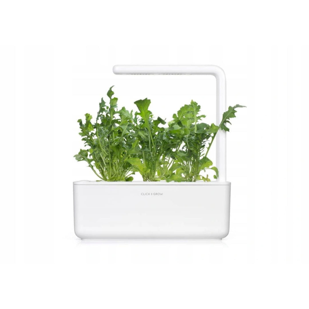 Nasiona do ogrodu domowego Click & Grow Smart Garden - rukola