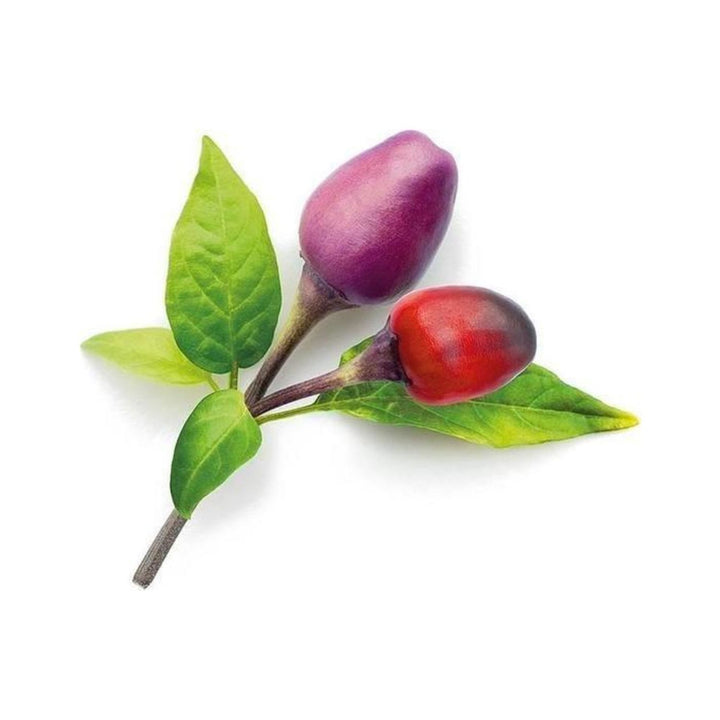 Nasiona do ogrodu domowego Smart Garden - fioletowa papryka chili