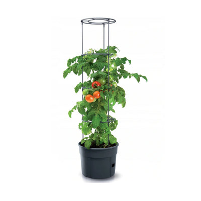 Doniczka do uprawy pomidorów Tomato Grower IPOM400