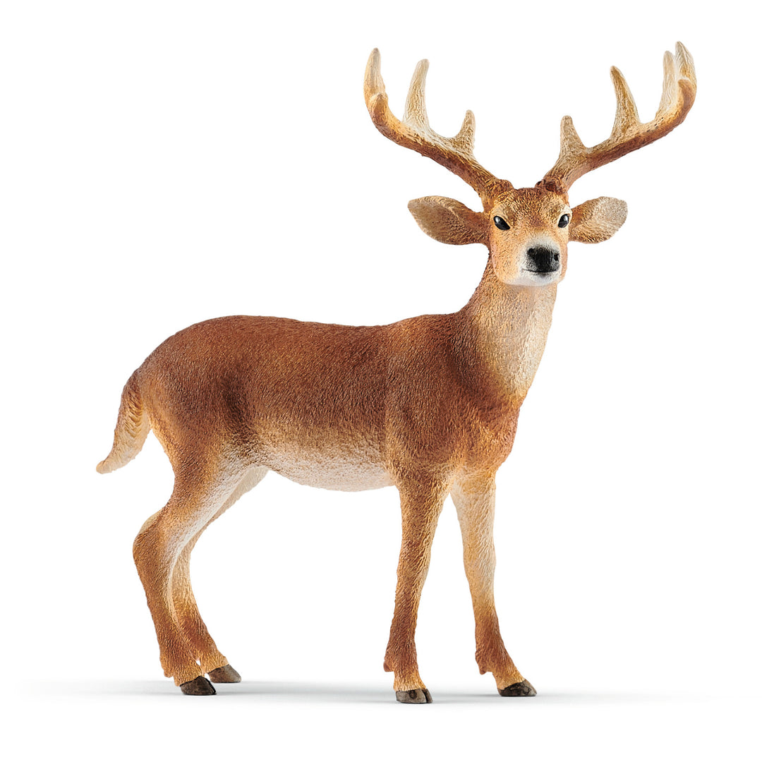 Figurka Schleich Wild Life 14818 Mulak jeleń wirgiński