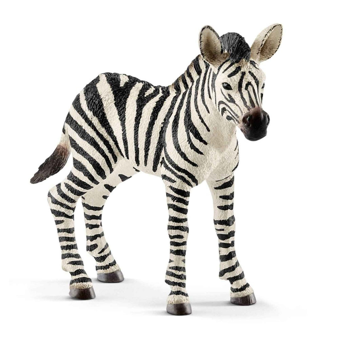 Figurka Schleich Zebra źrebię z serii Wild Life 14811