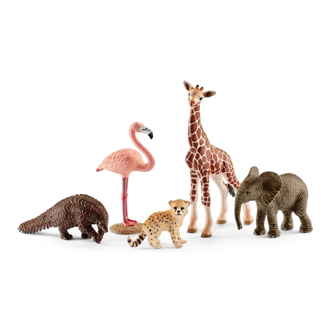 Zestaw zwierząt Schleich 42388 Wild Life zawierający 5 figurek