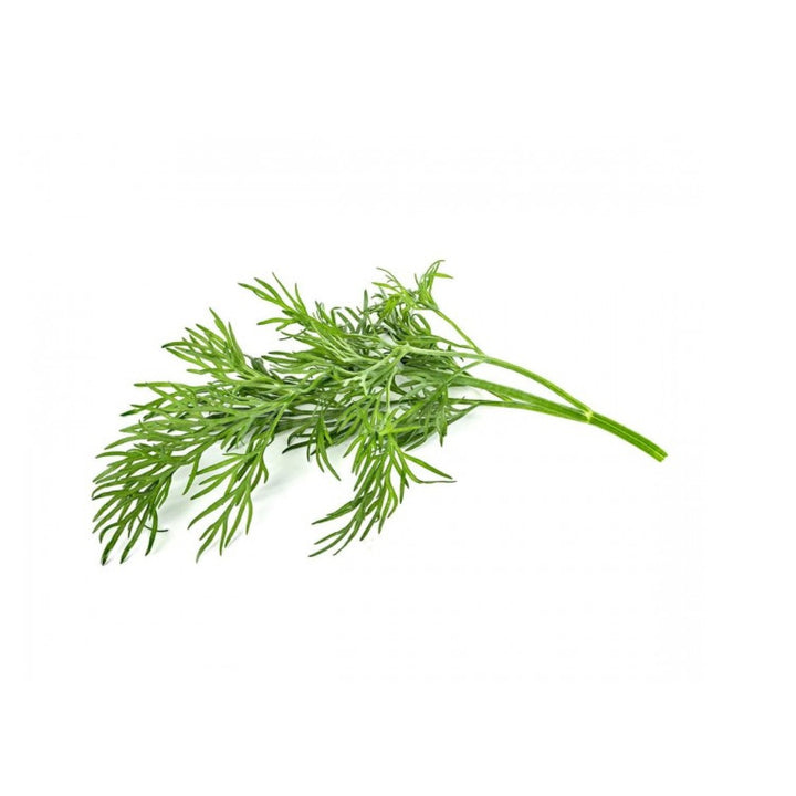 Kapsułki nasiona Click and Grow Smart Garden Koperek Dill
