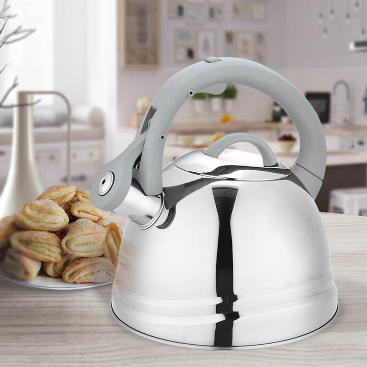 Czajnik ze stali nierdzewnej 2,5L Maestro MR-1304 średnica podstawy 20cm