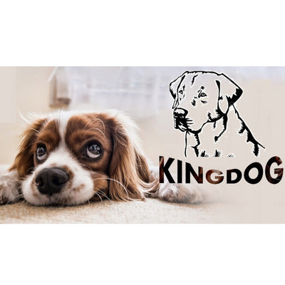 Duże Legowisko dla psa, kota 100 x 75 Ciemno szare - Kingdog rozmiar L